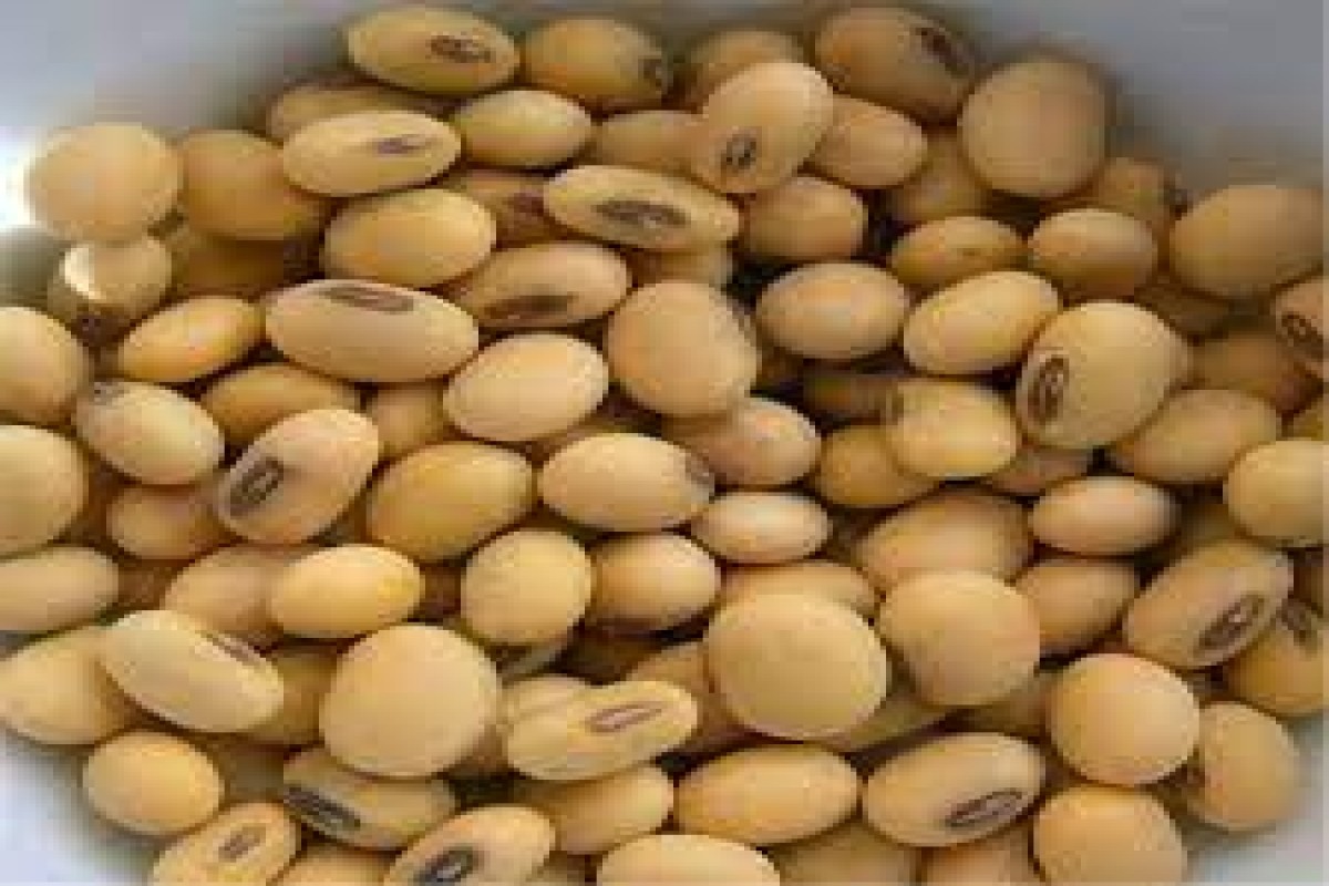Graines de soja from Ghana